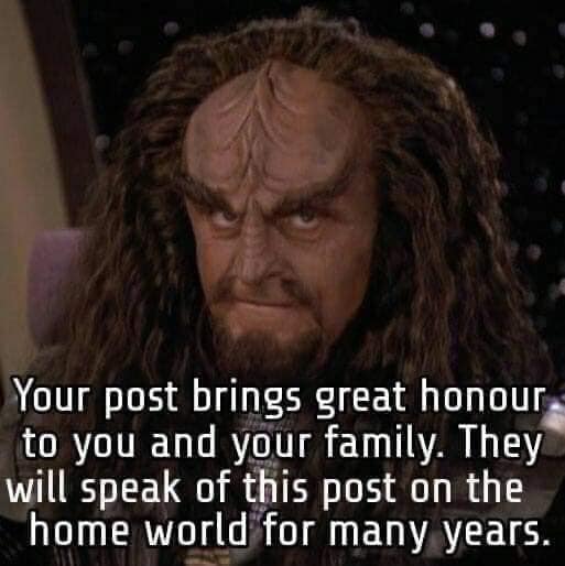 This meme is a screenshot of a character from the Star Trek franchise, likely Worf from Star Trek: The Next Generation. The character is depicted with a stern expression and a raised eyebrow. The text overlayed on the image reads: "Your post will be reviewed by moderators and may be edited for compliance with the site's rules. Your post brings great honour to you and your family. They will speak of this post on the holosuite entertainment network for many years."